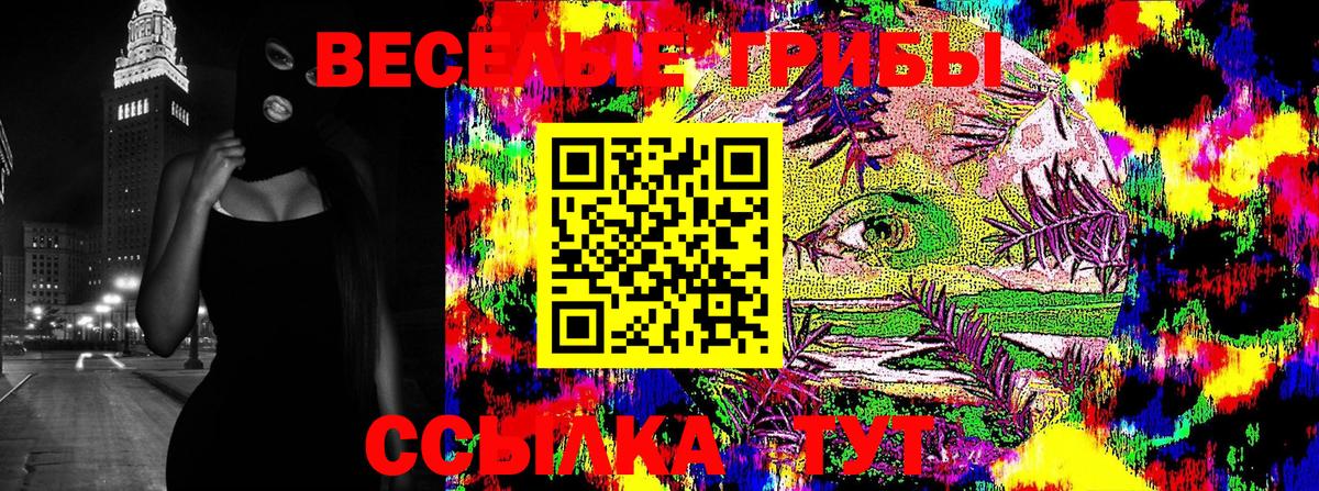 Нарткала  Псилоцибиновые грибы прущие грибы  Галлюциногенные грибы Magic Shrooms  Вход с VPN 